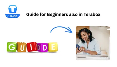 Guide for Beginners in terabox