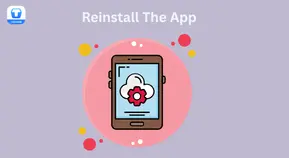 Reinstall The App  in terabox