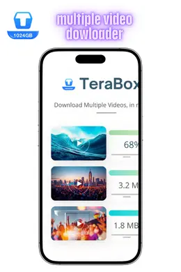 multiple video dowloader