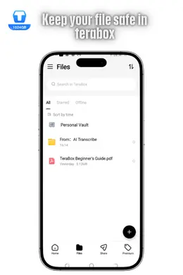 iOS 6 Keep your file safe in terabox